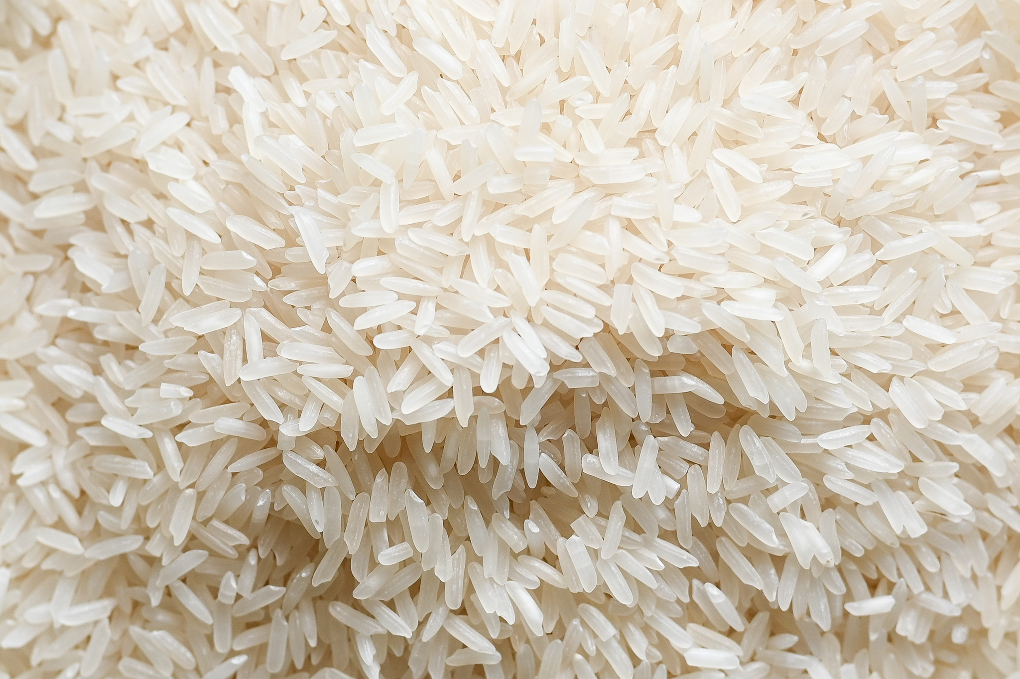 gros plan de riz au jasmin